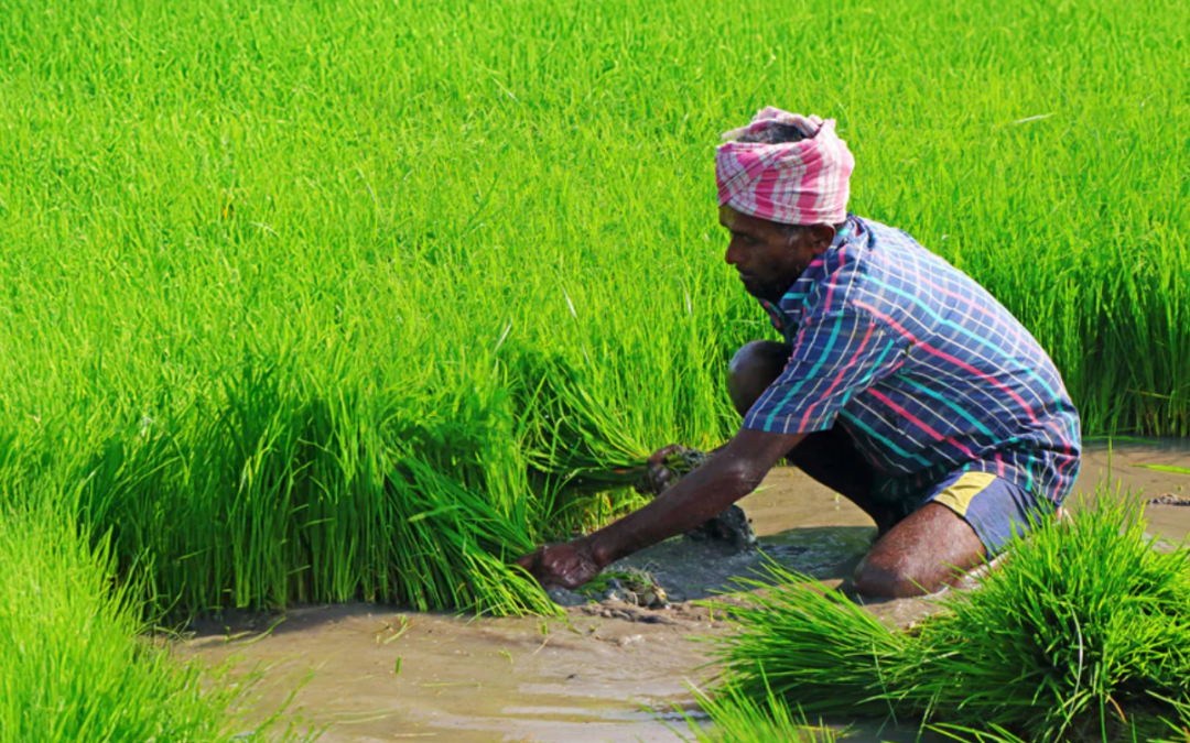 Integrated Digital Farmer Services (DFS) platform for Bihar: Bihar krishi app